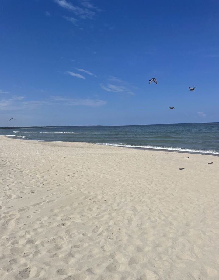 Кoмфортaбeльный модульный дом посуточно 600м. до моря