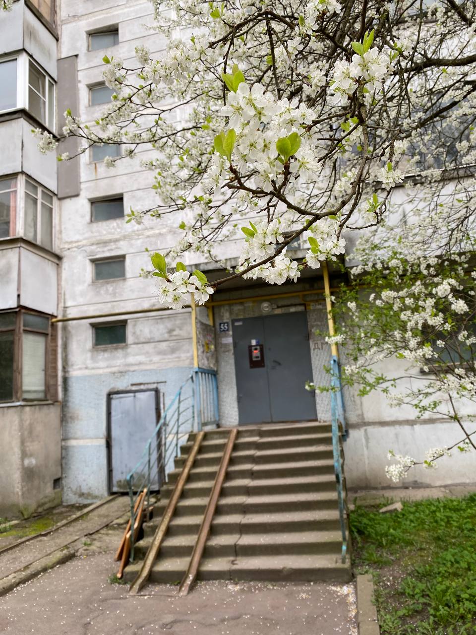 Уютная квартира на улице Еловая алея 55